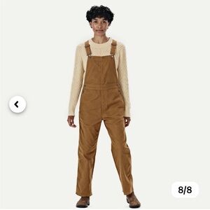 NWT Patagonia Point Reyes Canvas Overalls